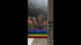We're closed! Wild elephant tries to visit supermarket for late night snack