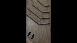 Dramatic Cat Vocalizes When Left Alone