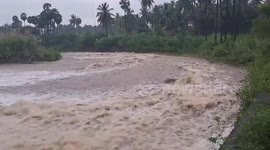 India: Thirumanimutharu river flows in its full capacity after heavy rains