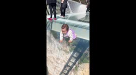Baby fearlessly crawls along glass skywalk bridge in China