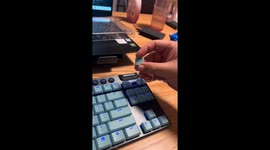 Pet bird removes keyboard letters