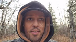 Man Finds Himself Surrounded By Moose