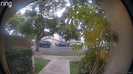 Ring Camera Captures Driveway Collision