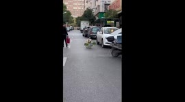 Helpful pet dog carries groceries home in China