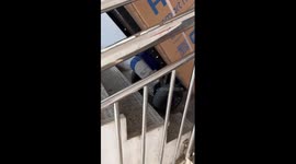 China is using robots to deliver packages up flights of stairs