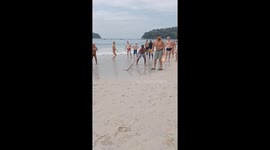 Terrified tourist flee from sea when cobra appears