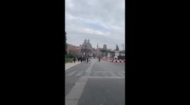 Seagulls fly over the Piazza Venezia in Rome
