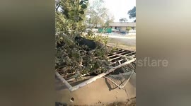 Cow trapped in well rescued by locals in India