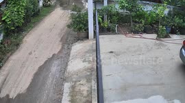 Unattended baby stroller rolls down driveway into road