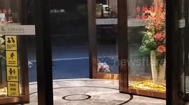 Dogs trigger sensor door with playful antics in Jiangsu, China