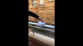 Cockroach Floats Down From Balcony in Style