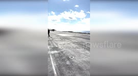US: Harriers Roar into Action from USS Wasp
