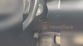Australia: Barefoot Driver Battles Deadly Tiger Snake on Busy Highway