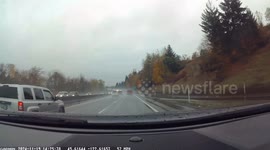 Huge Branch Crashes Onto Highway During Bomb Cyclone
