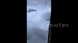 US: Storm Dumps Heavy Snow In Great Lakes Region