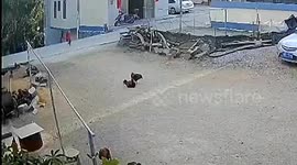 Quick-thinking boy dodges disaster after speeding car loses control in China