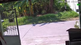 Sliding gate topples onto pensioner, 82, on driveway