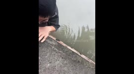 Passerby climbs into canal to rescue stranded kitten