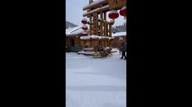 Small dog chases deer in Xuexiang, Heilongjiang, China