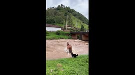 Horse crossing a river in Virginia, Minas Gerais, Brazil