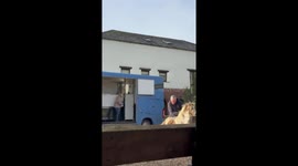 Man gets dragged by tiny pony in Crediton, England