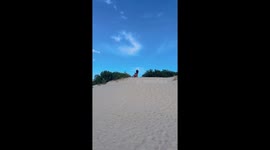 Dog chases sand slider in El Pinar, Uruguay