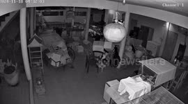 Chilling moment hungry python tries and fails to bite housewife in dark home