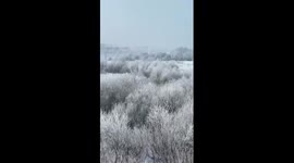 Stunning rime scenery in NE China's Heilongjiang