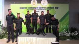 Australia provides two sniffer dogs to Thailand to aid battle against drug trafficking