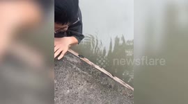 Quick-thinking couple rescue kitten from drowning