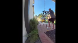 Exclusive- Deck the Halls… or faceplant off a ladder