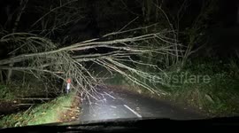 Compilation video of Storm Darragh from inside the red warned zone in North Devon after violent damaging winds overnight