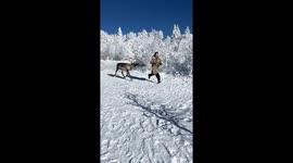 Woman chased by deer over food in Jilin, China
