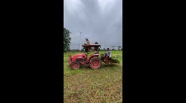 Two pet dogs ride on tractor with farmer harvesting rice