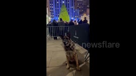 US: NYC Rockefeller Center Annual Christmas Tree Lighting Ceremony