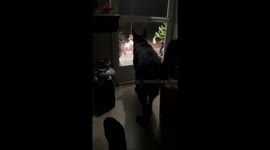 4 am this morning, husband went to let our dog out. The motion light came on and this little guy was dancing at the door.