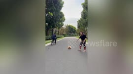 Chubby Pomeranian pooch with fluffy fur plays along park road