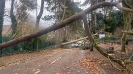 Strong winds will continue to hit the UK on Sunday in the wake of Storm Darragh
