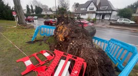 Storm Darragh: Man killed by falling tree in Birmingham