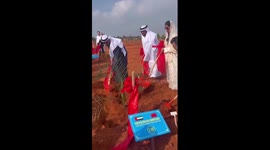 UAE-donated date palms planted in China's Hainan