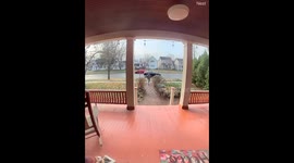 Alleged Package Thief Receives Instant Karma