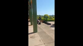 Drug Sniffing Dog Leaves His Mark