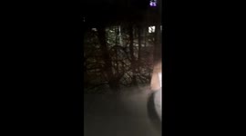 Five individuals fire fireworks at houses, causing disturbance in St. Petersburg, Russia