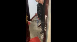 Pet cat shows affection to owner in Inner Mongolia, China