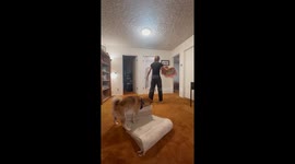 Dog humps bed to the beat while owner plays with their flow star
