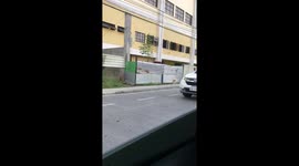 Dogs wearing shades spotted in Davao City, Philippines