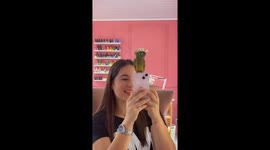 Adorable parrot watches itself in the mirror while filming with owner in Petén, Guatemala