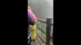 Monkey grabs child's hair at Mount Emei, Sichuan Province