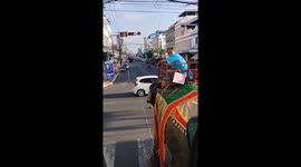 Elephants participating in annual cultural festival wait at set of red lights