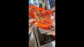 Helpful Golden Retriever collects payment from shoppers